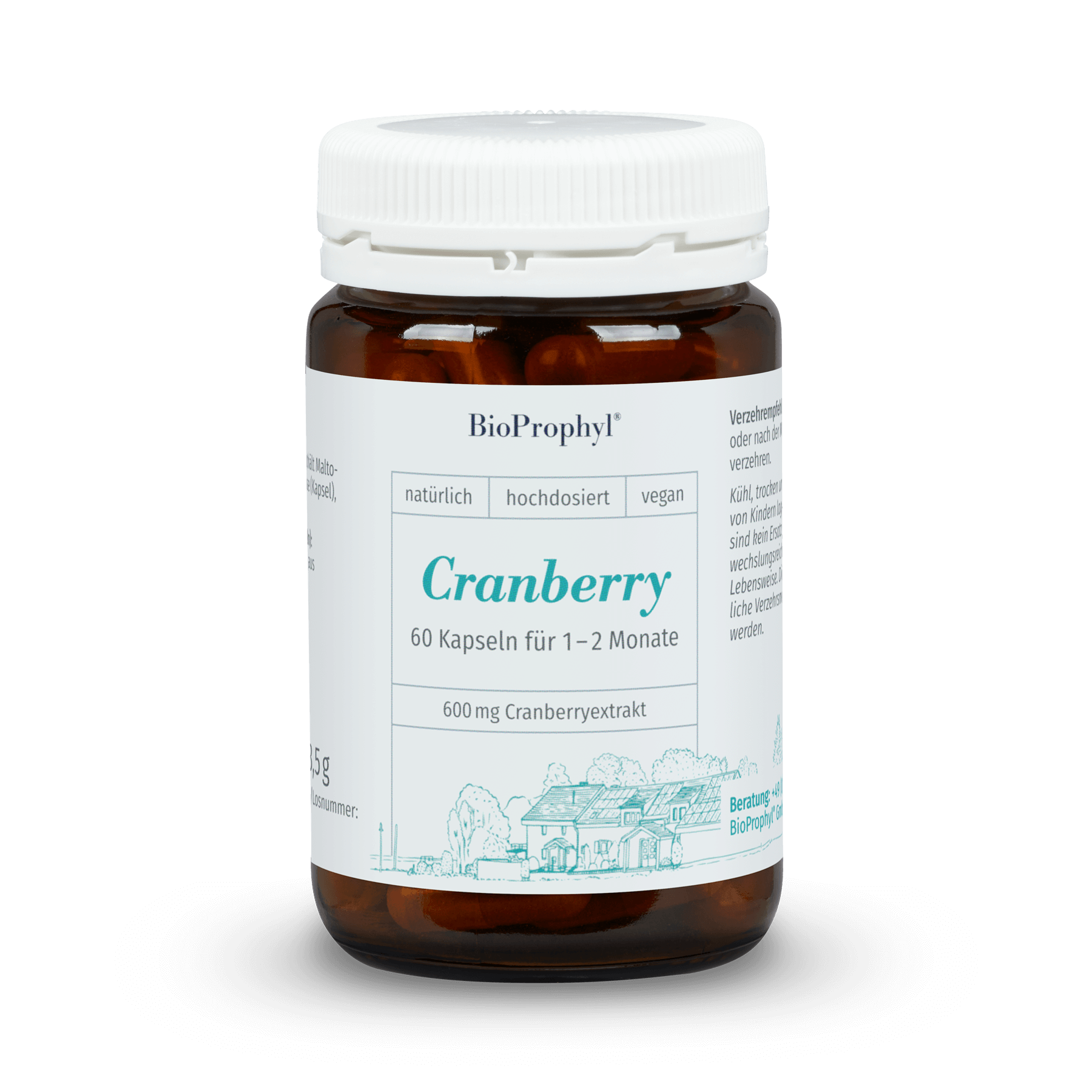 Cranberry freigestelltes Produktbild