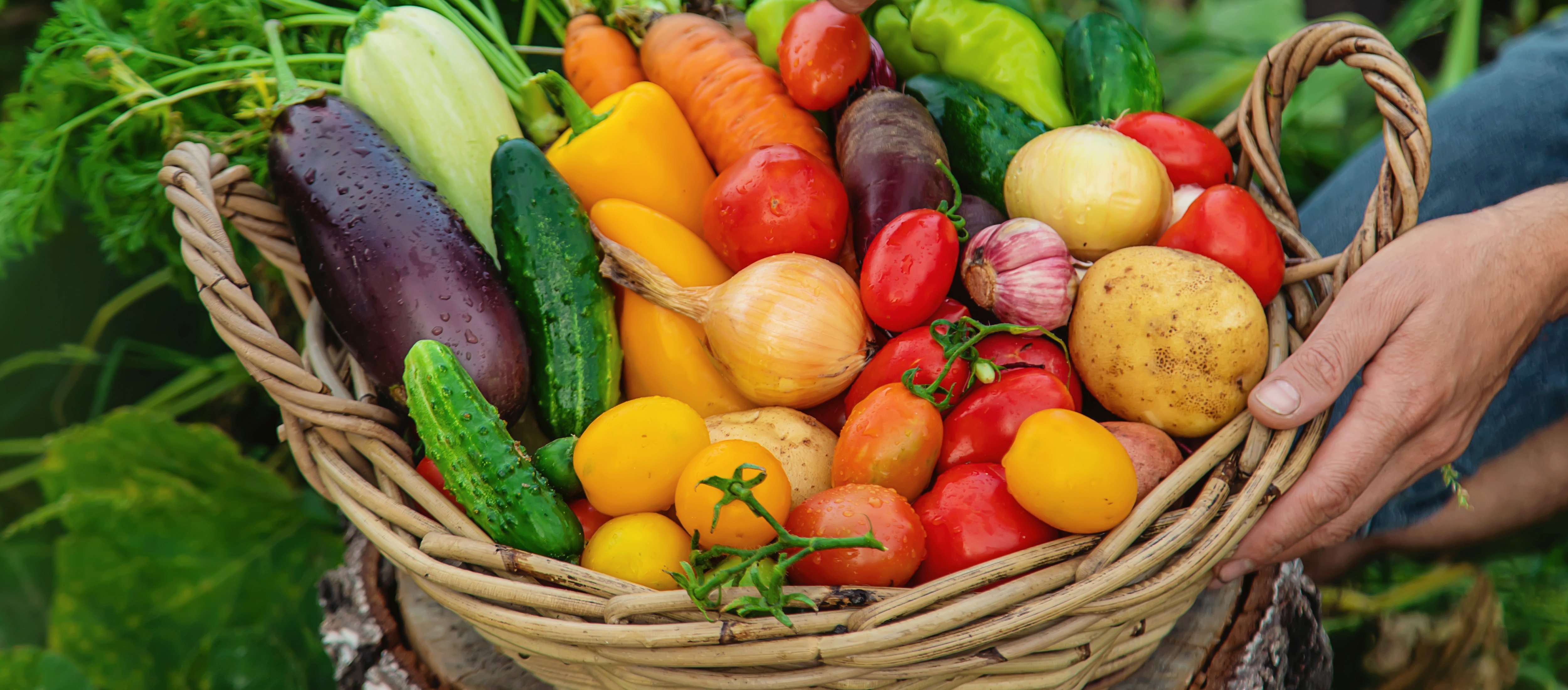 Nährstoffe für Vegetarier: Wie Nahrungsergänzungsmittel Lücken füllen können
