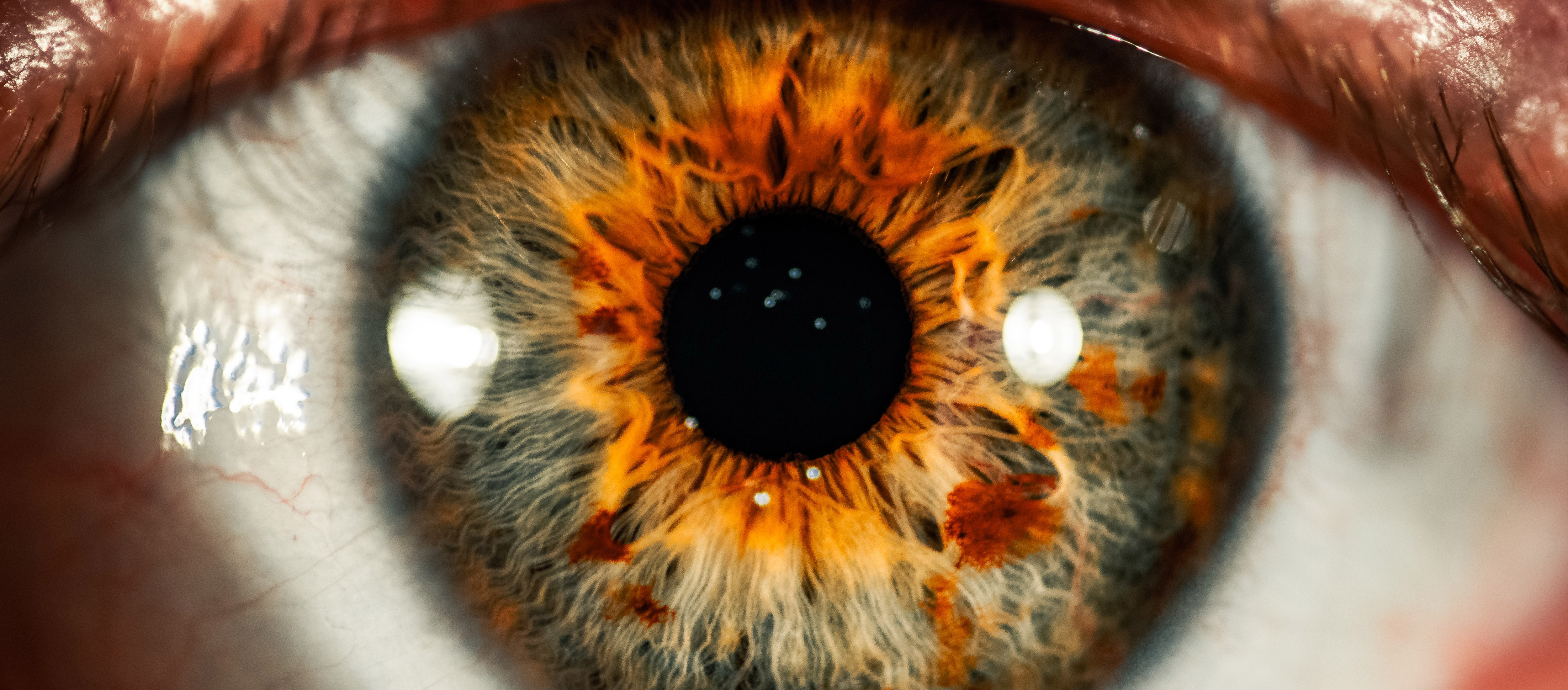 Augengesundheit: Nahrungsergänzungsmittel zur Unterstützung der Sehkraft