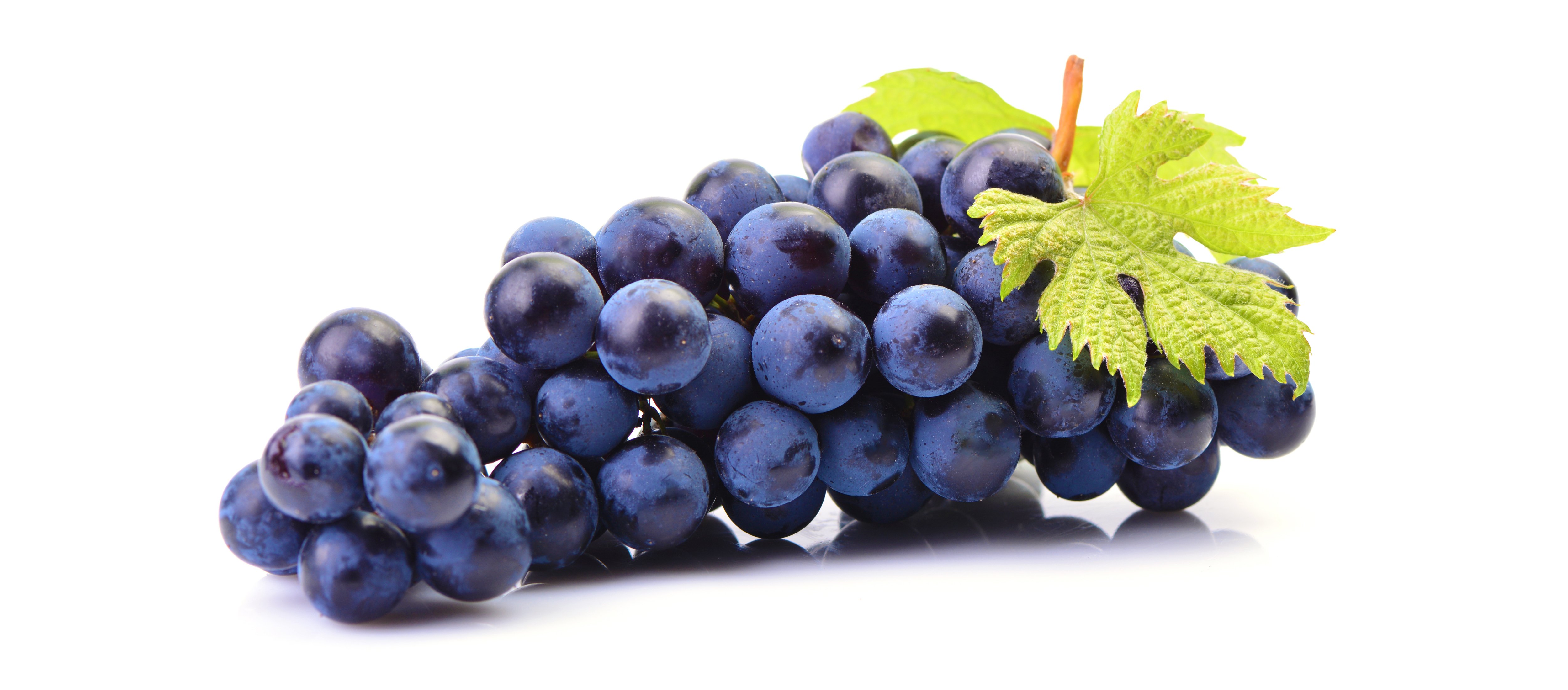 Trauben sind zu sehen