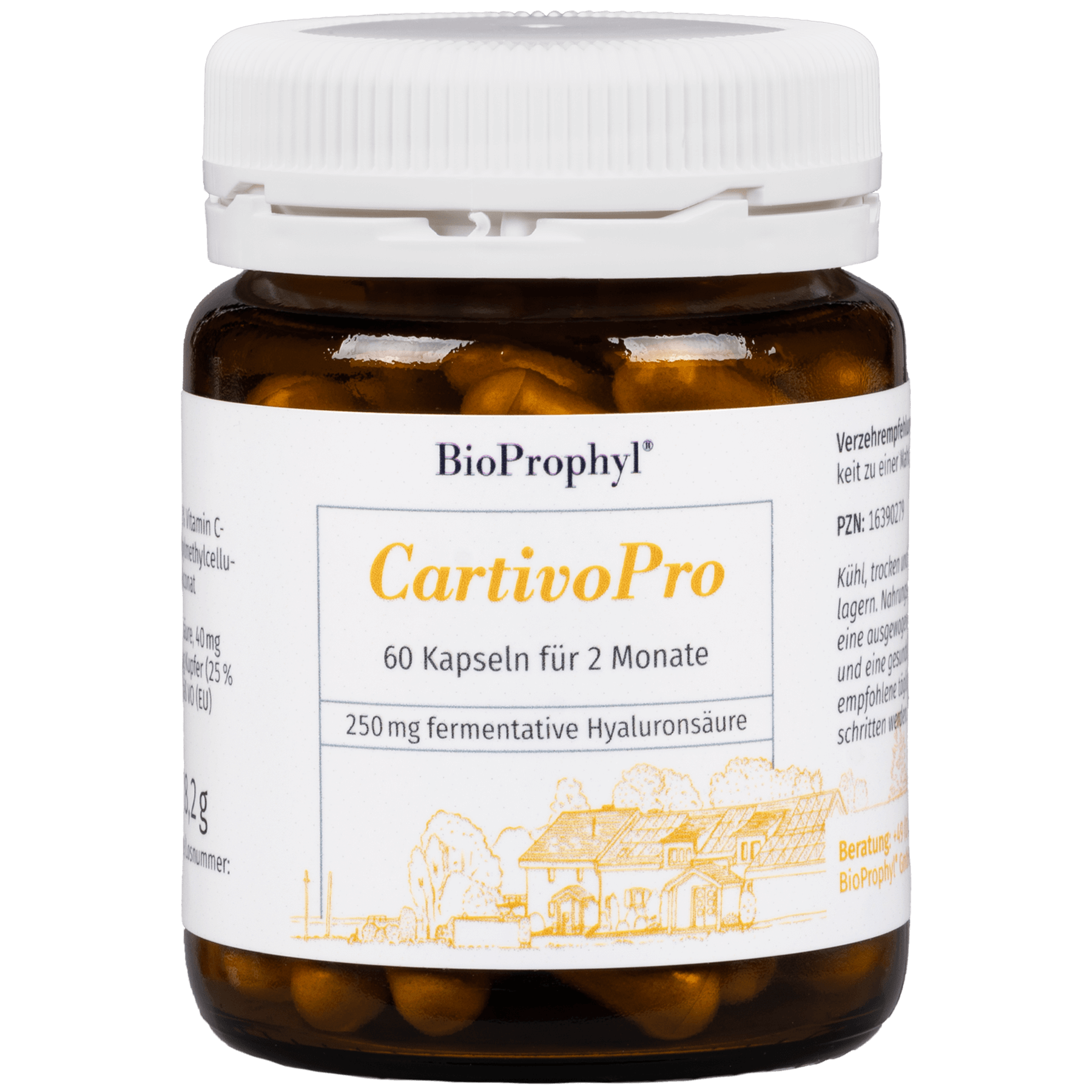 CartivoPro freigestelltes Produktbild