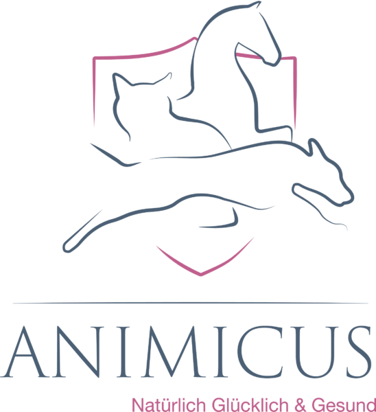 Animicus-Logo