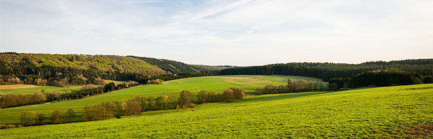 Landschaft Nitz